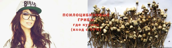 МДПВ Белокуриха