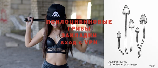 МДПВ Белокуриха