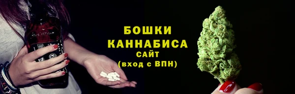 МДПВ Белокуриха