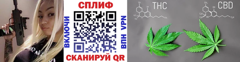 Бошки марихуана план Плёс
